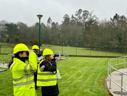 Desde que se inició el programa BiObserva en 2017, los empleados voluntarios de Veolia han registrado más de 152.000 avistamientos de aves.