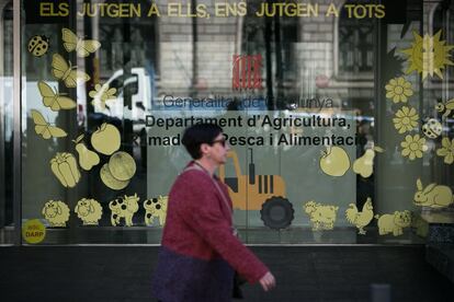 A l'exterior de la Conselleria d'Agricultura s'han retirat els llaços grocs i en el seu lloc s'han posat figures d'animals i fruites als vitralls de l'edifici, aquest dijous a Barcelona.