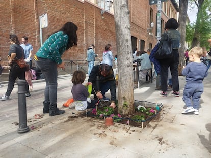 Las familias de los colegios Emilia Pardo Bazan y Santa María plantan flores en los alcorques de los árboles, en Madrid.