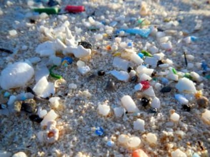 Un estudio piloto demuestra que las heces de personas de varios países contenían partículas de una decena de plásticos