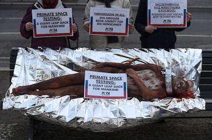 Activistas de PETA durante una protesta contra los experimentos relacionados con el lanzamiento de monos al espacio, frente a la embajada de Rusia en Alemania.