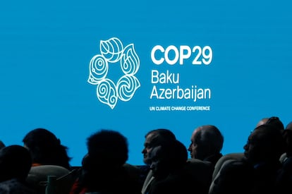 COP29