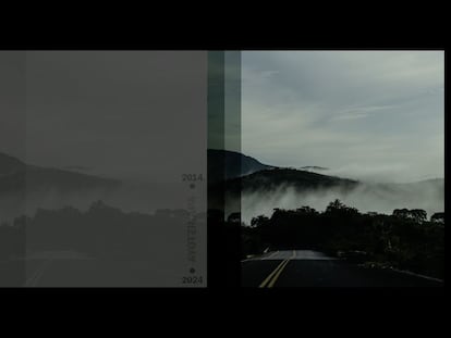 The Ayotzinapa families, 10 years later