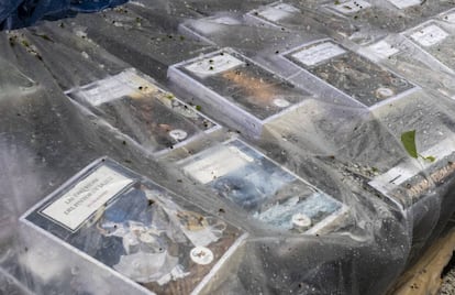 Libros protegidos de la de la lluvia y el granizo que ha caído esta mañana en Barcelona.