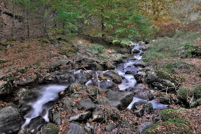 La ascensión transcurre siempre junto al agua, entre colores tan otoñales como la bruma.