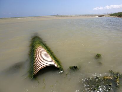 Imagen del Mar Menor, un espacio natural que ha sido fuertemente degradado por la contaminación.