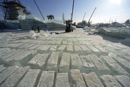 Cientos de camiones transportan los bloques de hielo sacados del río hasta el recinto del Festival Internacional de Hielo y Nieve de Harbin, donde son procesados de acuerdo con los planos de cada ‘edificio’.