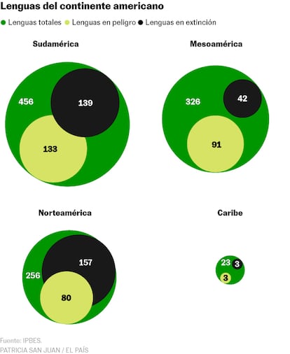 BIODIVERSIDAD AMÉRICA FUTURA