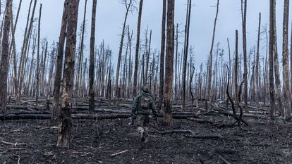 Soldados ucranianos avanzan a través de un bosque destruido por los combates en dirección a Kreminná, una ciudad ucraniana perteneciente al óblast de Lugansk.