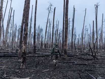 Soldados ucranianos avanzan a través de un bosque destruido por los combates en dirección a Kreminná, una ciudad ucraniana perteneciente al óblast de Lugansk.