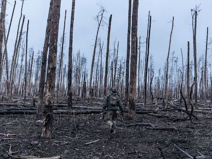 Soldados ucranianos avanzan a través de un bosque destruido por los combates en dirección a Kreminná, una ciudad ucraniana perteneciente al óblast de Lugansk.