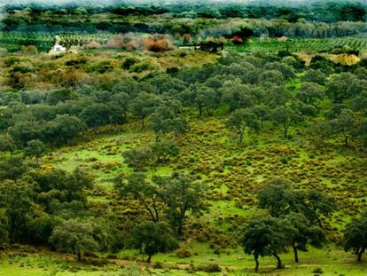 A view of la Almoraima in Castellar, Cádiz province.