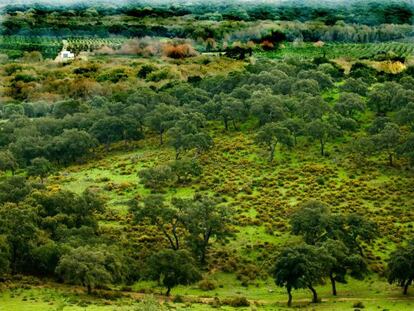 A view of la Almoraima in Castellar, C&aacute;diz province.