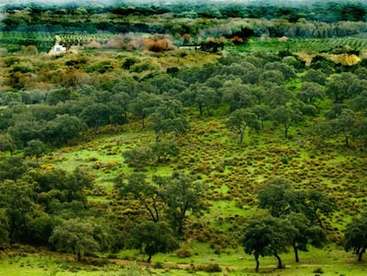 A view of la Almoraima in Castellar, C&aacute;diz province.