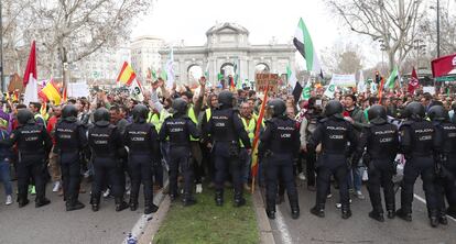 Decenas de agentes de la policía antidisturbios vigilan la concentración de agricultores, este miércoles en el centro de Madrid. 