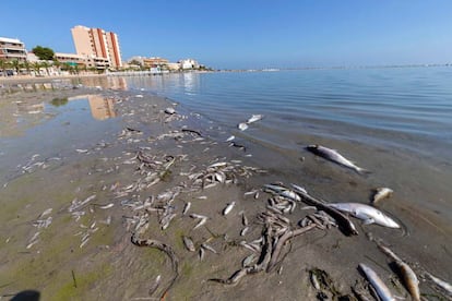 Efectos de la última gota fría en el mar Menor (Murcia).