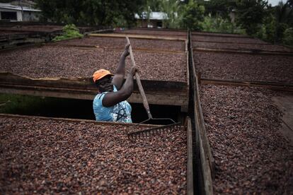 La asociación de productores Aprocane tiene una planta de cacao. Allí lo cuecen y secan artesanalmente para dejar el producto listo para su exportación.