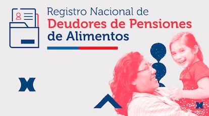 SISTEMA NACIONAL DE DEUDORES CHILE
