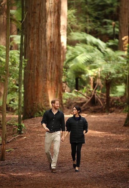 El 31 de octubre, en su último día, los duques pasearon de la mano por un bosque de secuoyas en Rotorua, Nueva Zelanda.