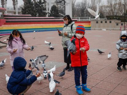 Palomas en una plaza de Pekín (China), el 11 de febrero.