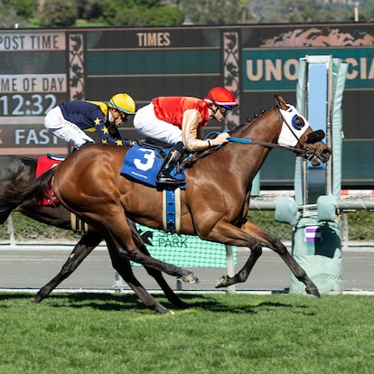 In this image provided by Benoit Photo, Count Again (3), ridden by jockey Flavien Prat, overpowers Subconscious, and jockey Juan Hernandez, to win the Grade III, $100,000 Thunder Road Stakes horse race, Saturday, Feb. 5, 2022, at Santa Anita Park in Arcadia Calif. (Benoit Photo via AP)