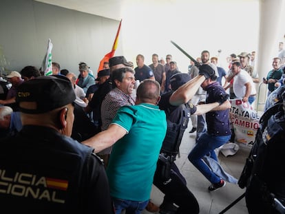 Decenas de manifestantes intentan entrar a la fuerza en la Delegación Territorial de la Junta de Castilla y León en Salamanca durante una concentración de ganaderos.