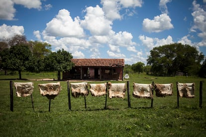 Santa Elisa en Paraguay