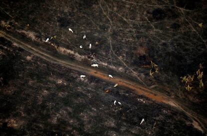 Vista aérea de un área de la selva amazónica afectada por un incendio cerca de Porto Velho, estado de Rondonia, en Brasil, 10 de septiembre de 2019.