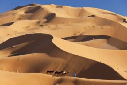 Dunas de Erg Chebbi, en el Sáhara (Marruecos).