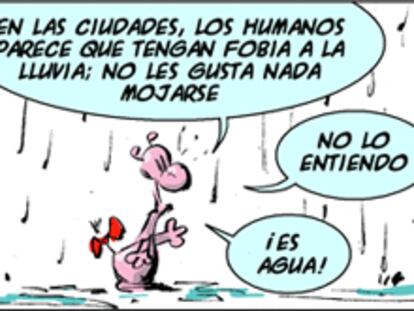 RAMÓN