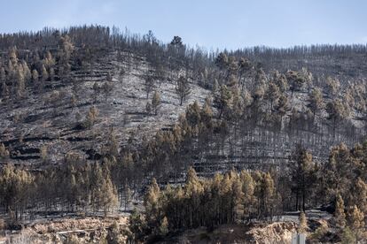 Vista de la montaña quemada tras el incendio en los alrededores de Montán, este miércoles.
