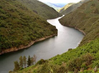 Cañones del Sil, en Ourense, uno de los parajes donde los colectivos ecologistas tradicionales han declarado la guerra a las hidráulicas.