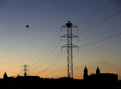 Dos cig&uuml;e&ntilde;as permanecen en el nido de la torre de un tendido el&eacute;ctrico