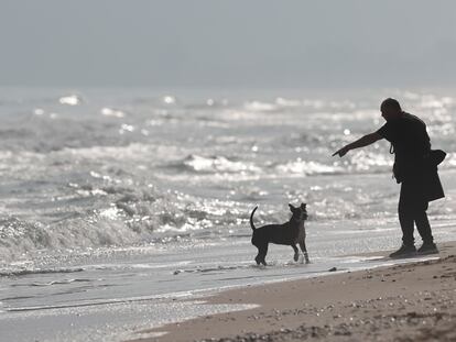 Un hombre pasea a su perro en la playa de El Saler (Valencia) el pasado martes.