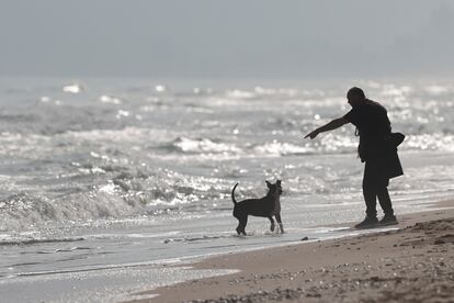 Un hombre pasea a su perro en una de las playas de Valencia.