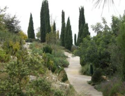 Jardí Botànic.