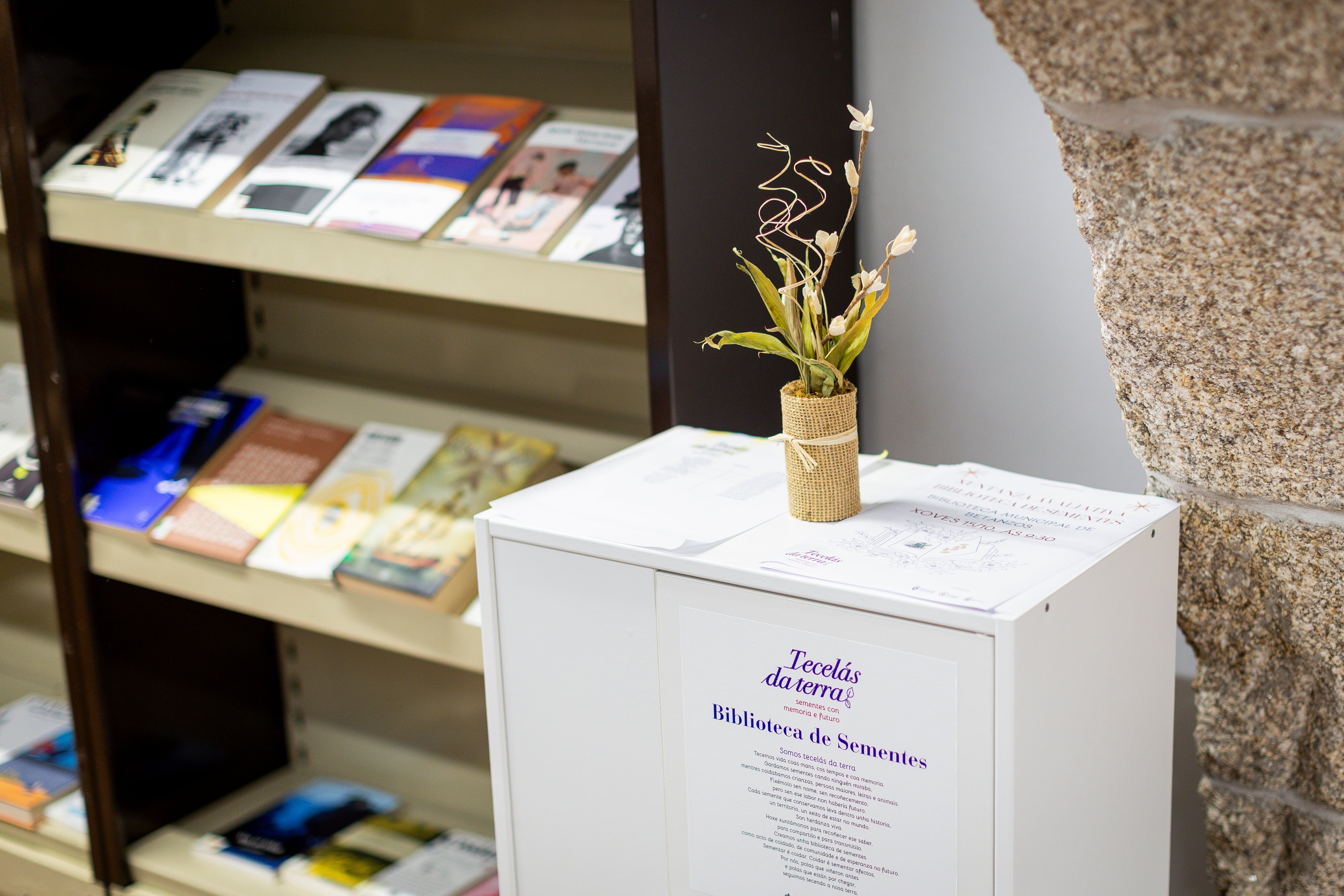 Mueble de la biblioteca de Betanzos destinado a guardar las semillas para los usuarios que quieran llevárselas.