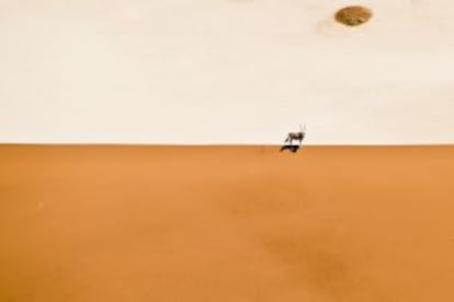 Un oryx en la cresta de una duna de Sossusvlei, en Namibia.