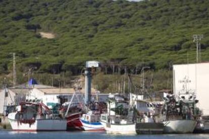 Imagen de varios barcos amarrados a puerto. EFE/Archivo