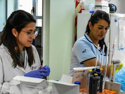 Trabajos en el Laboratorio del Centro de Enfermedad de Chagas y Patología Regional, de Santiago del Estero, Argentina.