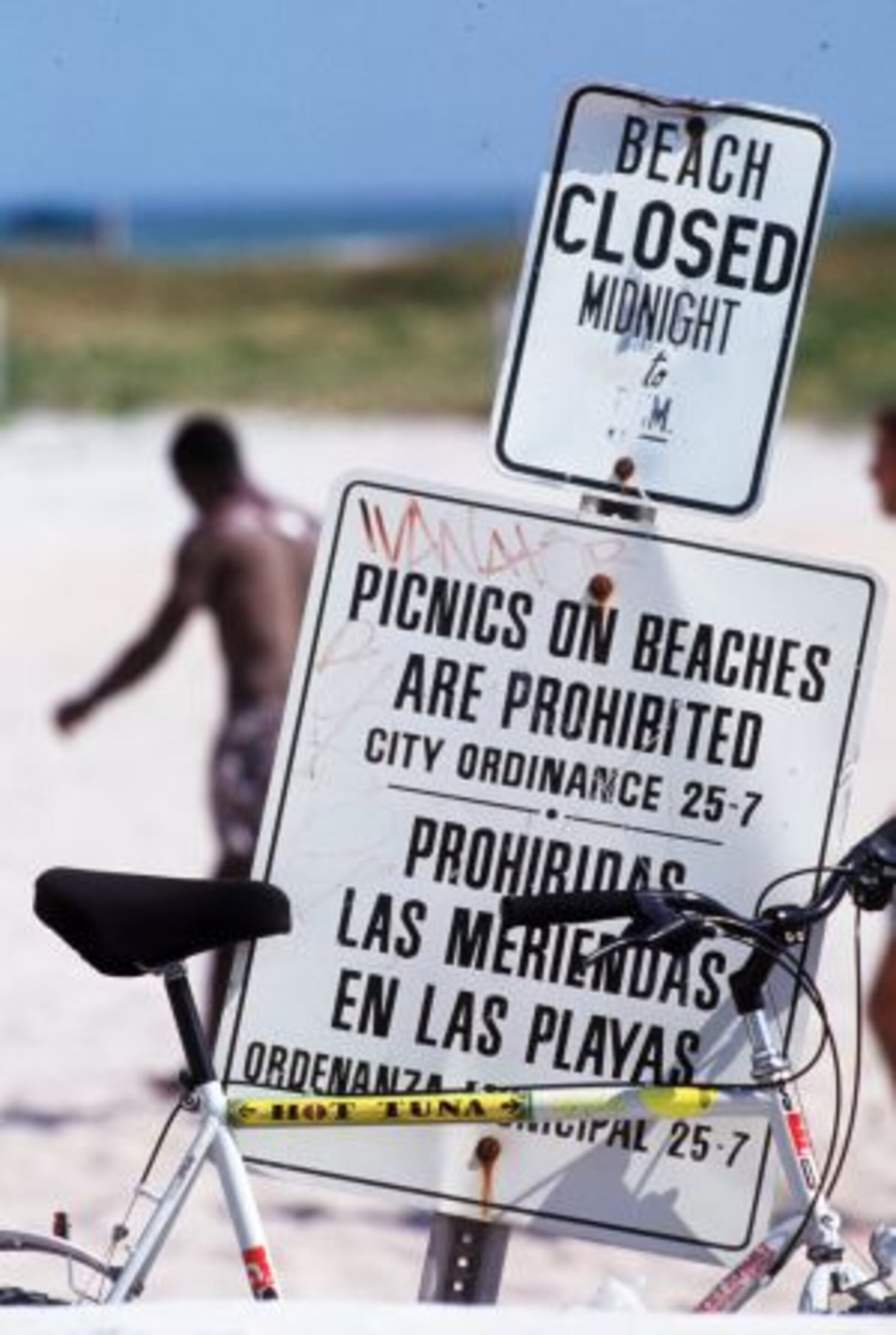 El español, todo un patrimonio contante y sonante | Cultura | EL PAÍS