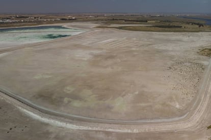 Las Marismas de Mendaña, en Huelva.