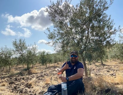 Tomy Rohde descansando bajo un olivo en una jornada de trabajo.