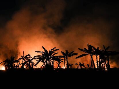 Un incendio en la selva cercana a Porto Velho, en el noroeste de Brasil, en septiembre pasado.