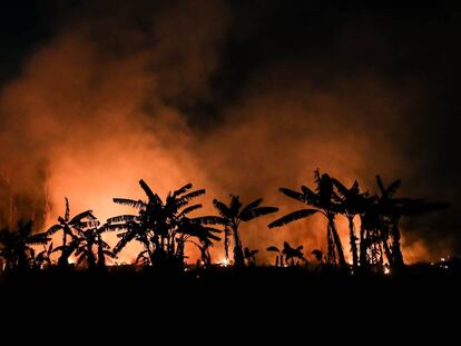 Incêndio em uma área de floresta amazônica em Porto Velho, Rondônia, no dia 9 de setembro de 2019.