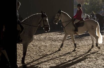 Amazonas y jinetes del concurso de salto con sus monturas en la pista de calentamiento del Salón Internacional del Caballo (SICAB).