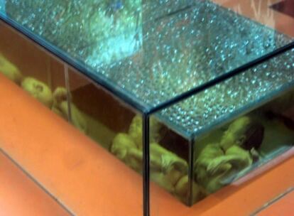 Feto con malformaciones genéticas provocadas por el fatídico agente naranja, expuesto en el Museo de Recuerdos de Guerra de Ciudad Ho Chi Minh, la antigua Saigón (Vietnam)