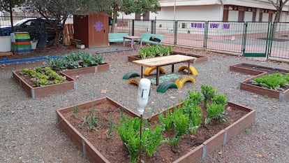 Huerta escolar del colegio público Ermitagaña, en Pamplona.