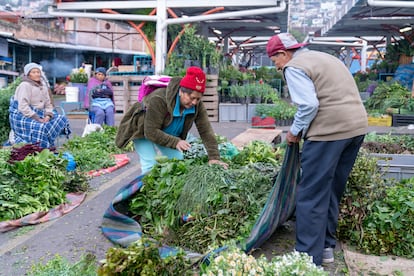Ser hierbatera no radica exclusivamente en la comercialización de plantas, sino que constituye la suma de prácticas y saberes de recolección y cultivo que se mantienen desde hace generaciones.