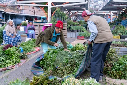 Ser hierbatera no radica exclusivamente en la comercialización de plantas, sino que constituye la suma de prácticas y saberes de recolección y cultivo que se mantienen desde hace generaciones. 

